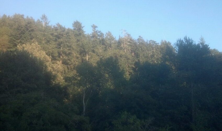 Soquel Supper Club