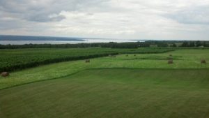 Lamoreaux Winery-View from the tasting room