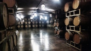 Robert Hall Wine Cellar